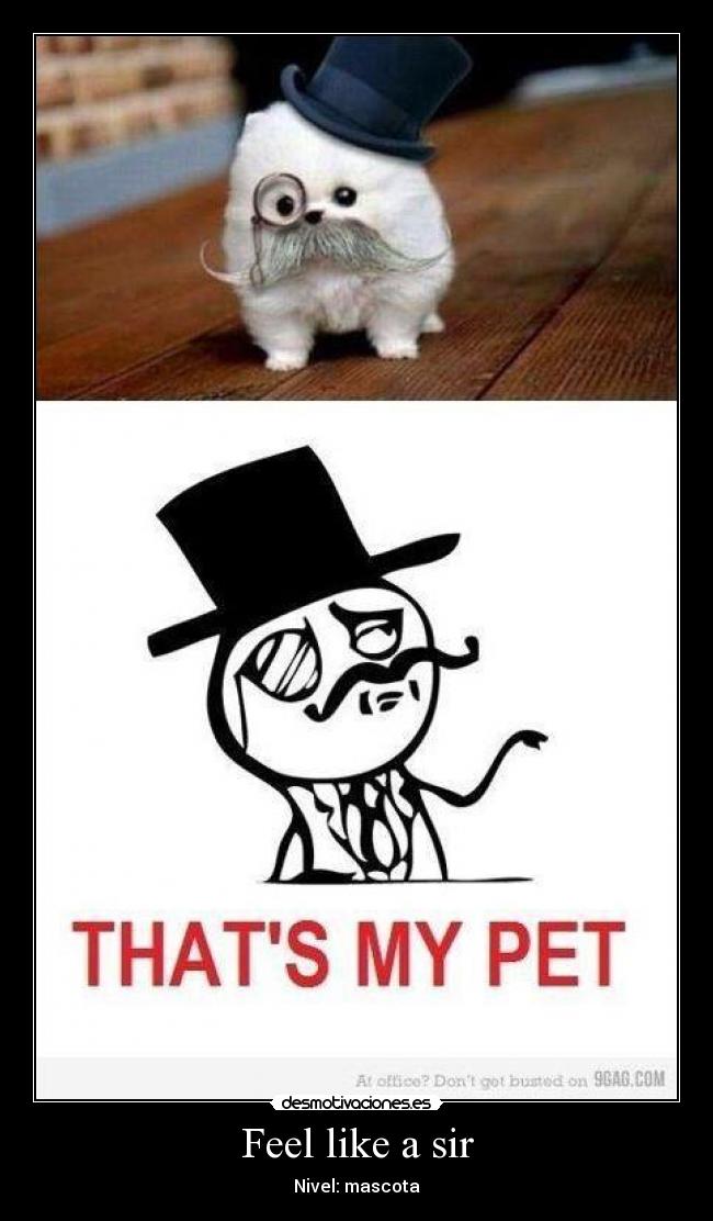 Feel like a sir - 