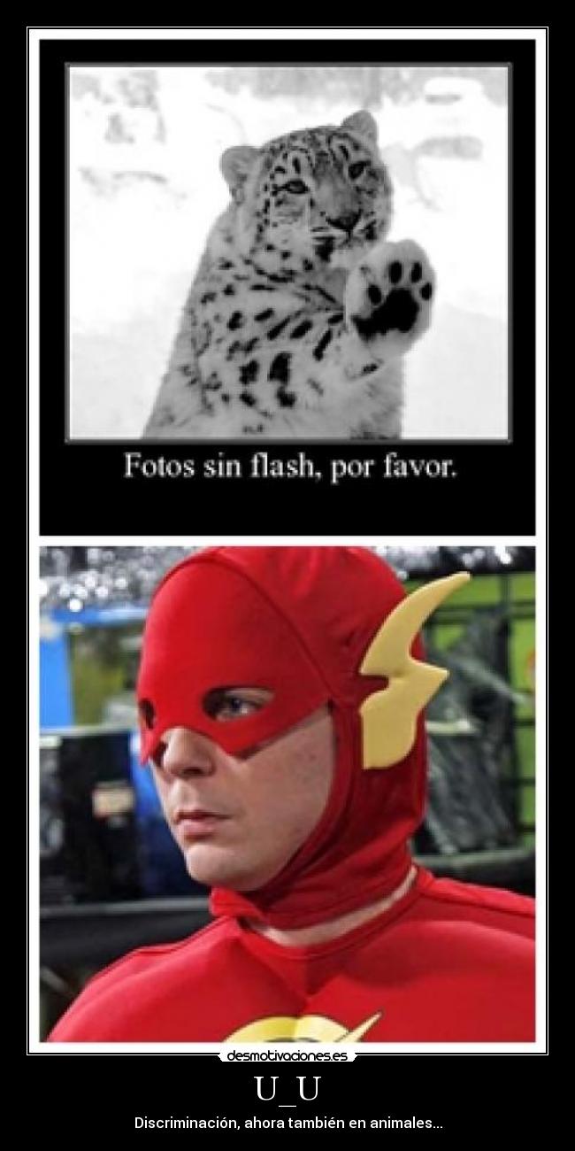 carteles shinonxd desmotivaciones