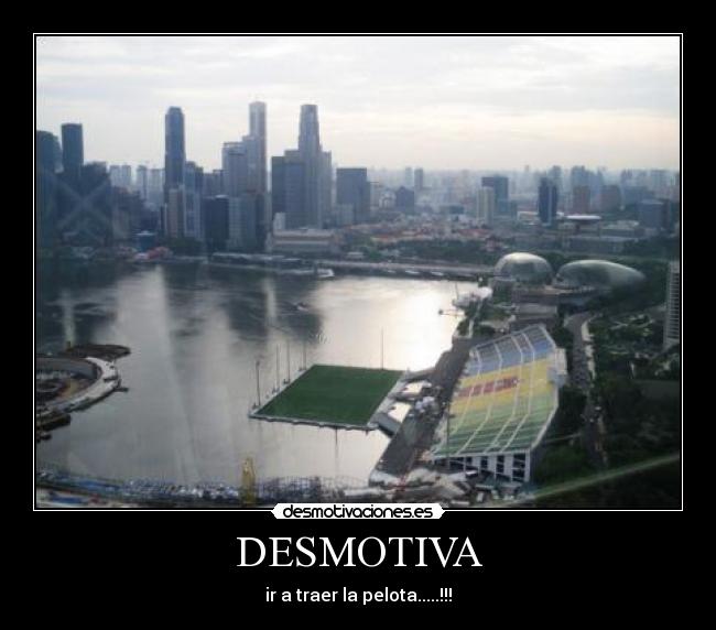 DESMOTIVA - ir a traer la pelota.....!!!