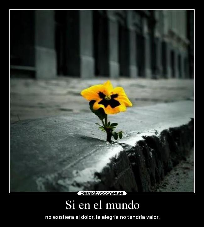 Si en el mundo - no existiera el dolor, la alegría no tendría valor.