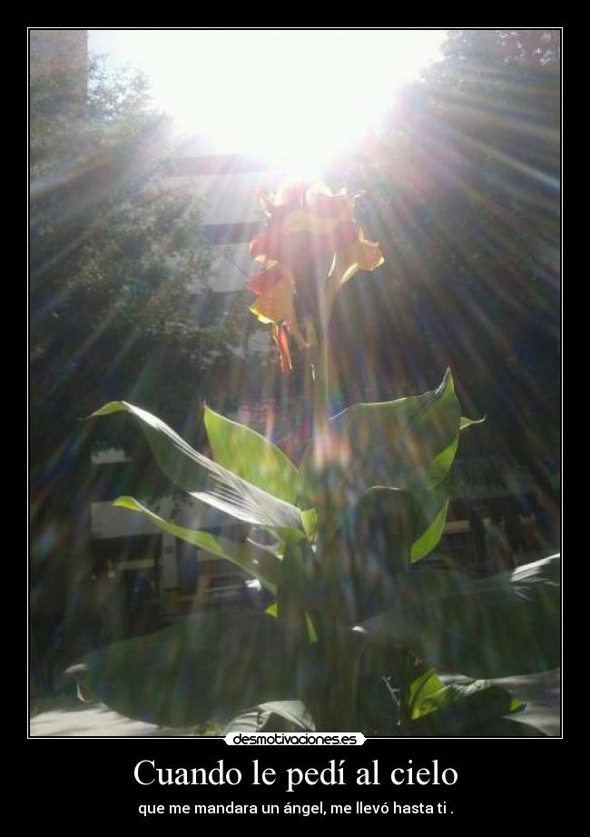 Cuando le pedí al cielo - 