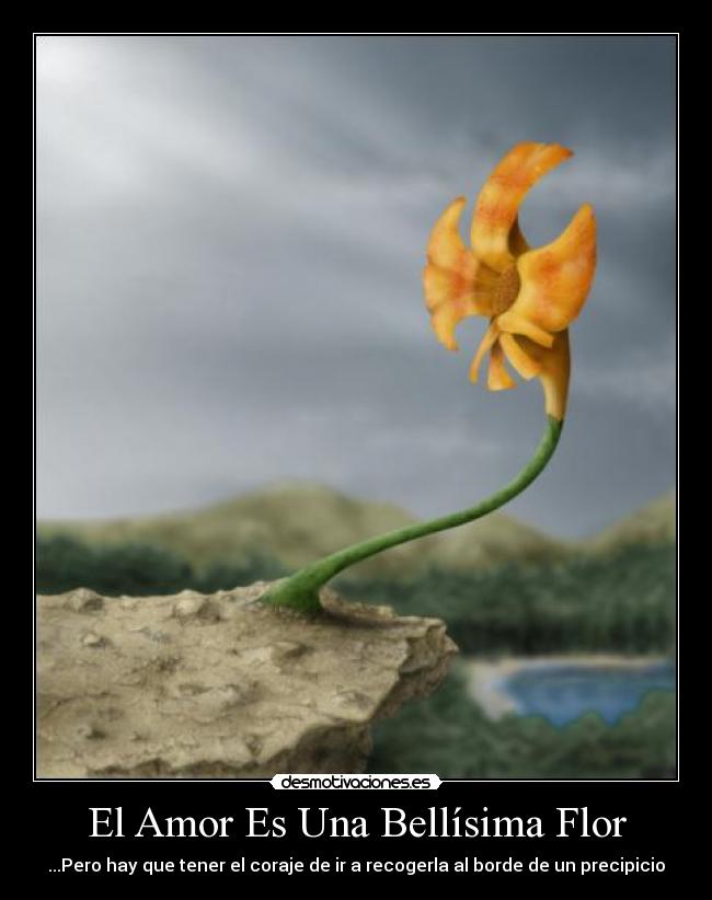 El Amor Es Una Bellísima Flor - ...Pero hay que tener el coraje de ir a recogerla al borde de un precipicio