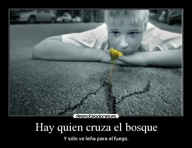 Hay quien cruza el bosque - Y sólo ve leña para el fuego.