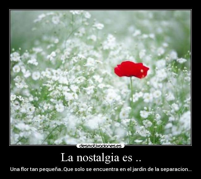 La nostalgia es .. - 