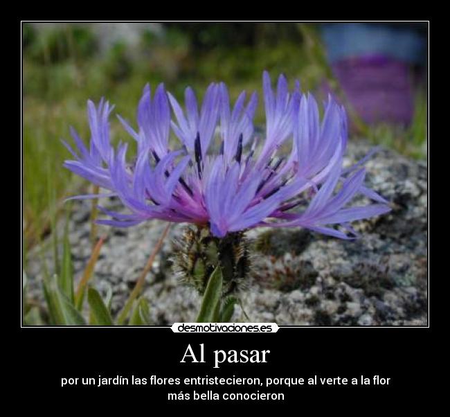 carteles pasar desmotivaciones