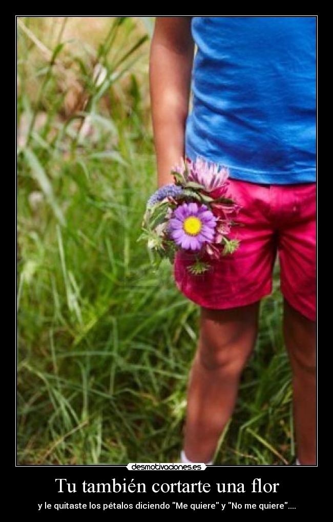 Tu también cortarte una flor -