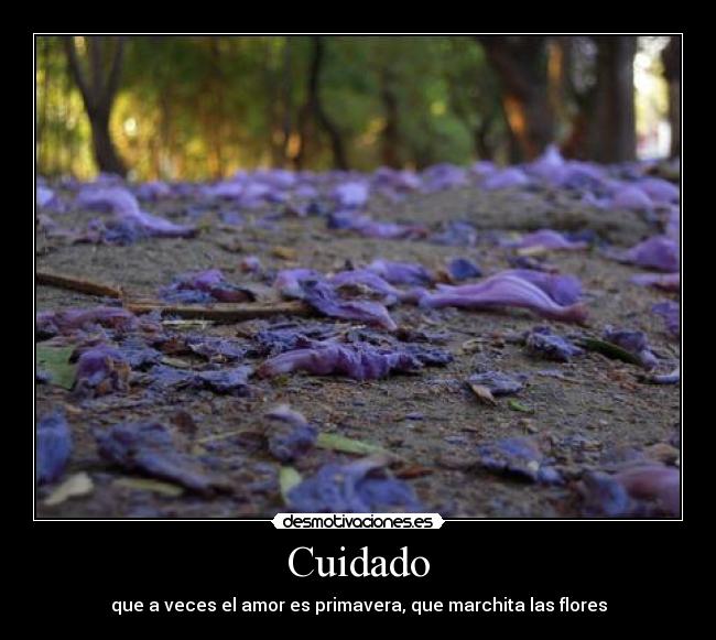 Cuidado - que a veces el amor es primavera, que marchita las flores