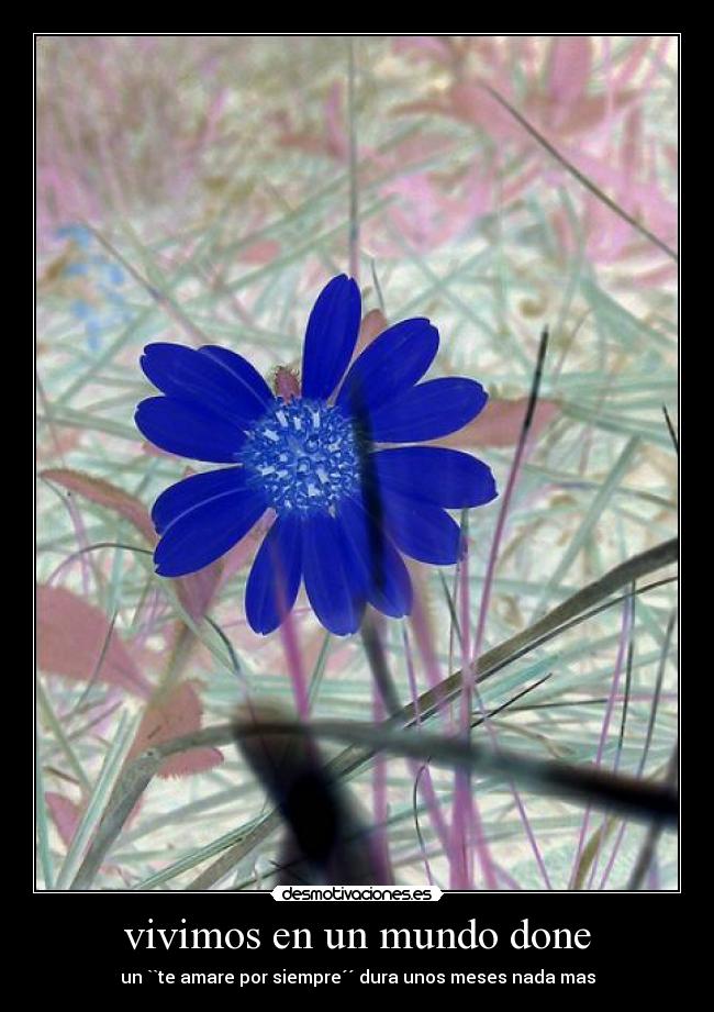 vivimos en un mundo done -