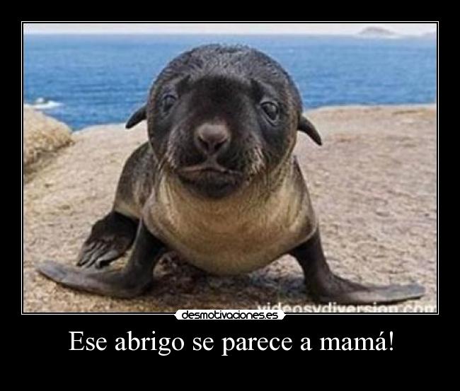 Ese abrigo se parece a mamá! - 