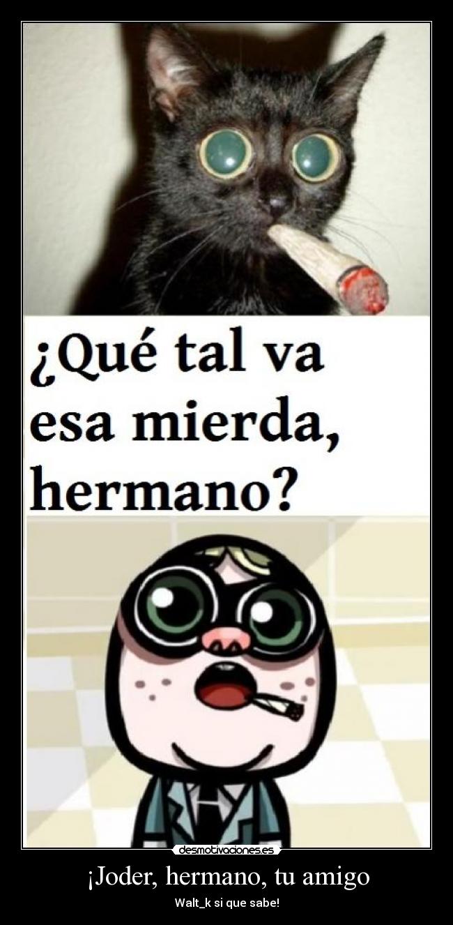¡Joder, hermano, tu amigo - Walt_k si que sabe!