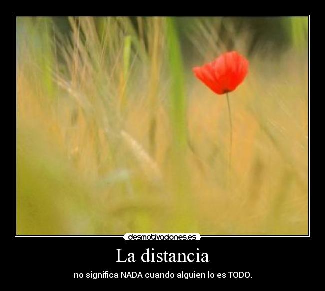 La distancia - 