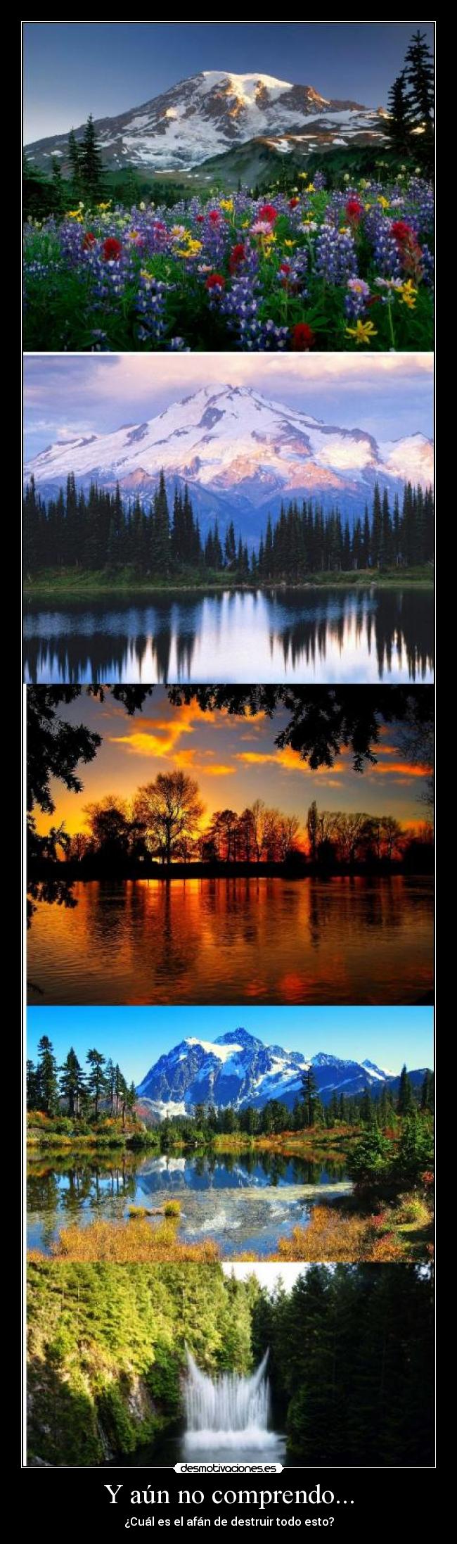 Y aún no comprendo... - ¿Cuál es el afán de destruir todo esto?