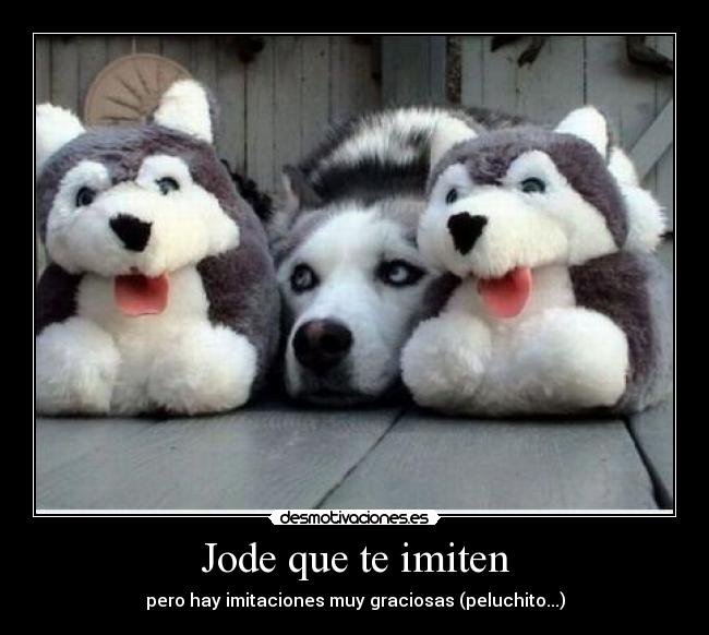 Jode que te imiten - 