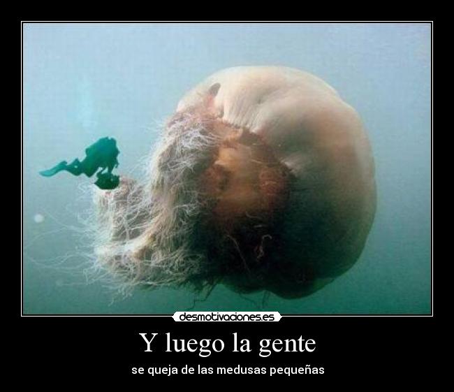 carteles luego desmotivaciones