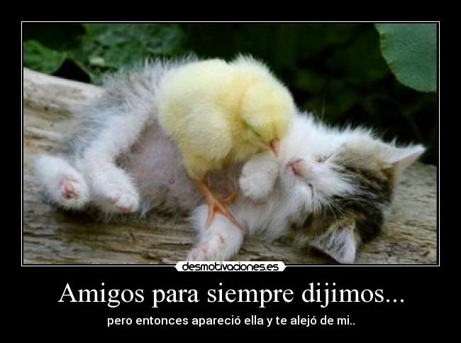 Amigos para siempre dijimos... - pero entonces apareció ella y te alejó de mi..