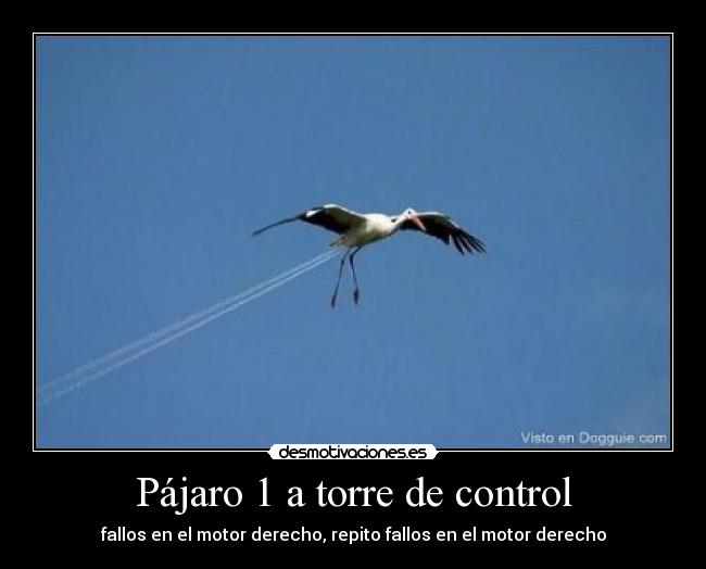 Pájaro 1 a torre de control - 