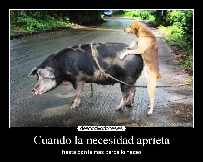 Cuando la necesidad aprieta - hasta con la mas cerda lo haces