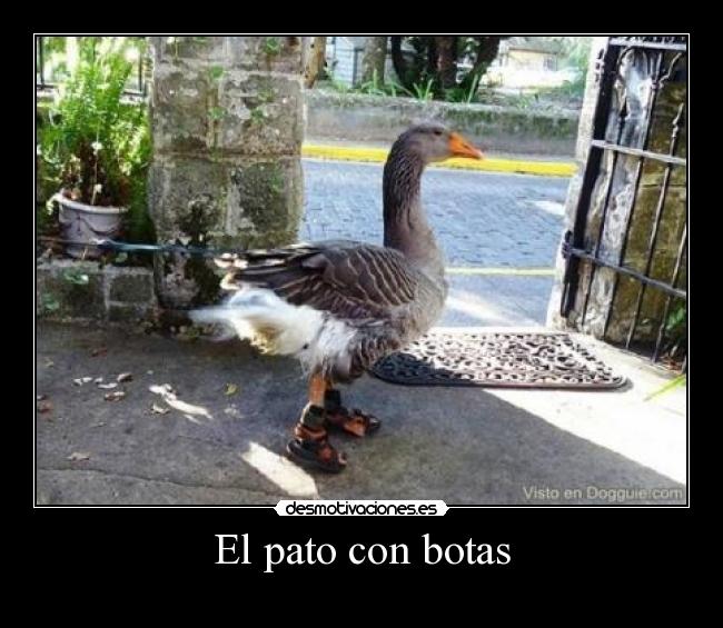 El pato con botas - 