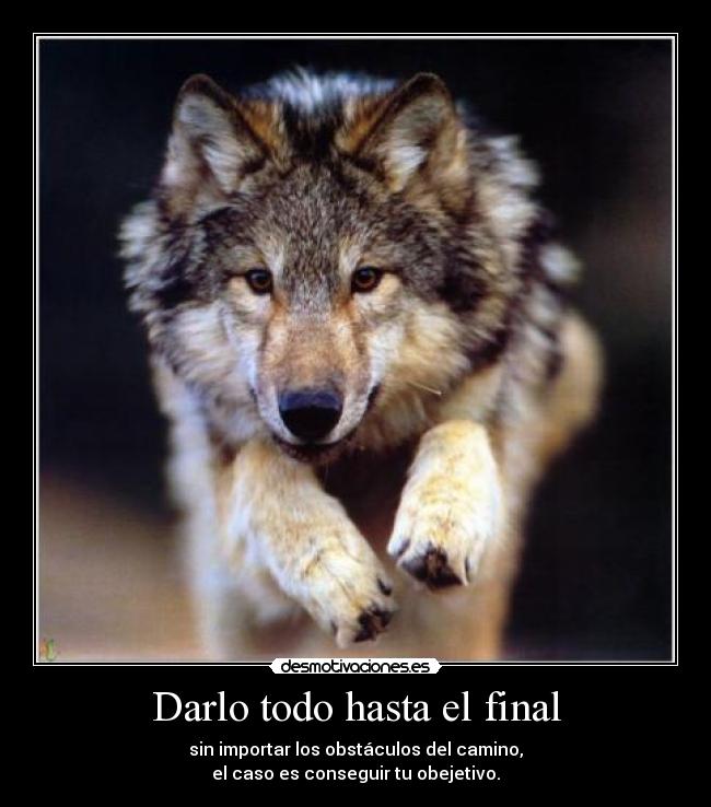 Darlo todo hasta el final - sin importar los obstáculos del camino,
el caso es conseguir tu obejetivo.