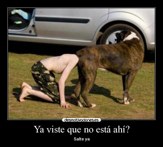 Ya viste que no está ahí? - Salte ya