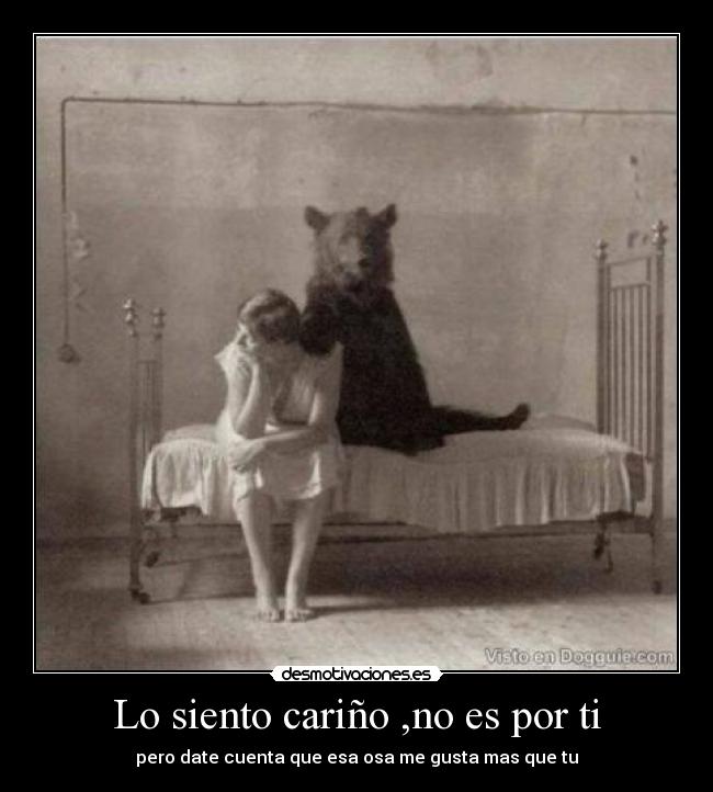 Lo siento cariño ,no es por ti - pero date cuenta que esa osa me gusta mas que tu