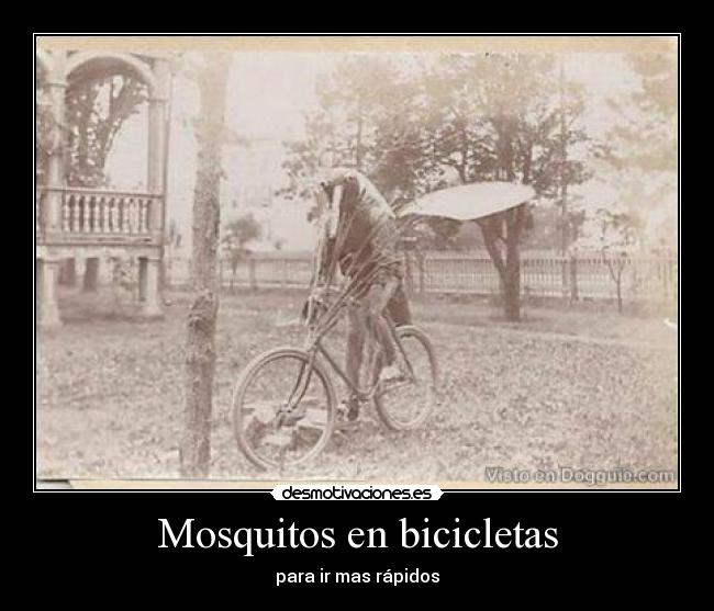 Mosquitos en bicicletas - para ir mas rápidos