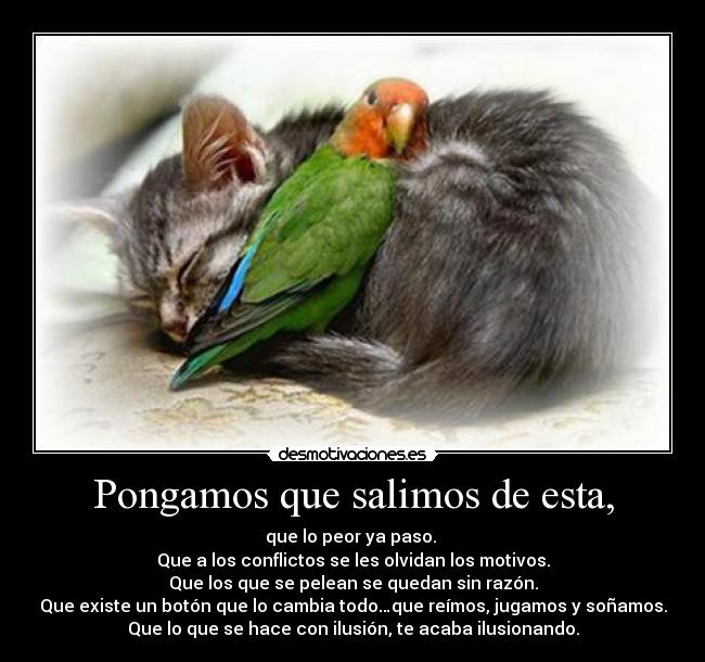 Pongamos que salimos de esta, - 