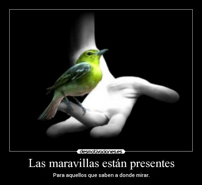 Las maravillas están presentes - Para aquellos que saben a donde mirar.