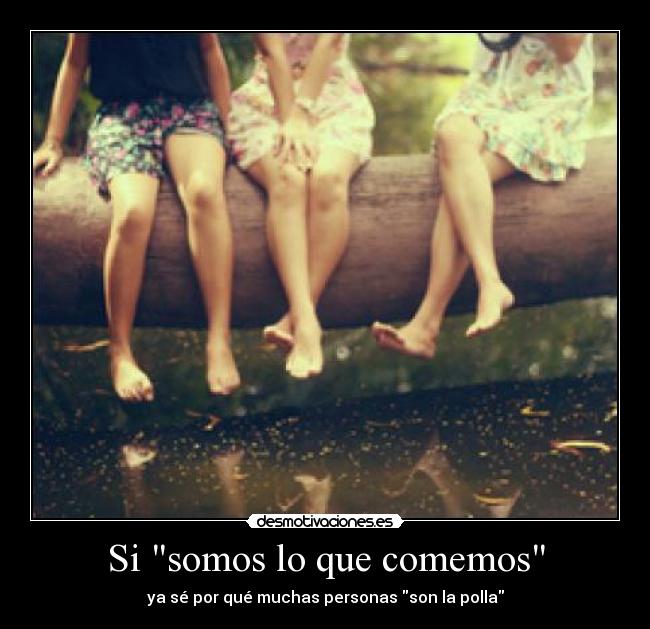 Si somos lo que comemos -