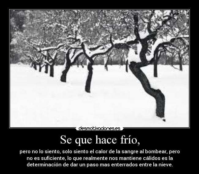 carteles  desmotivaciones