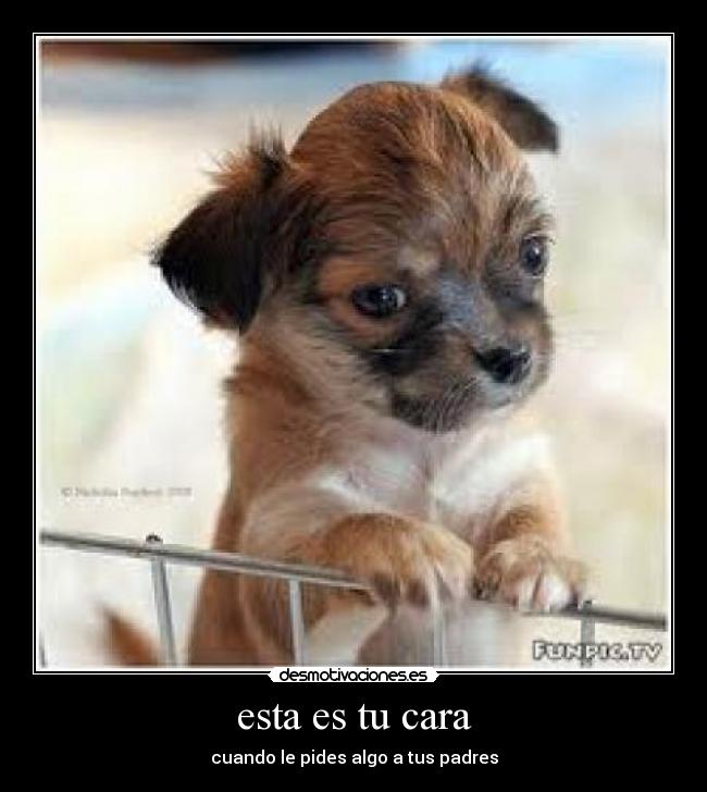 esta es tu cara - cuando le pides algo a tus padres