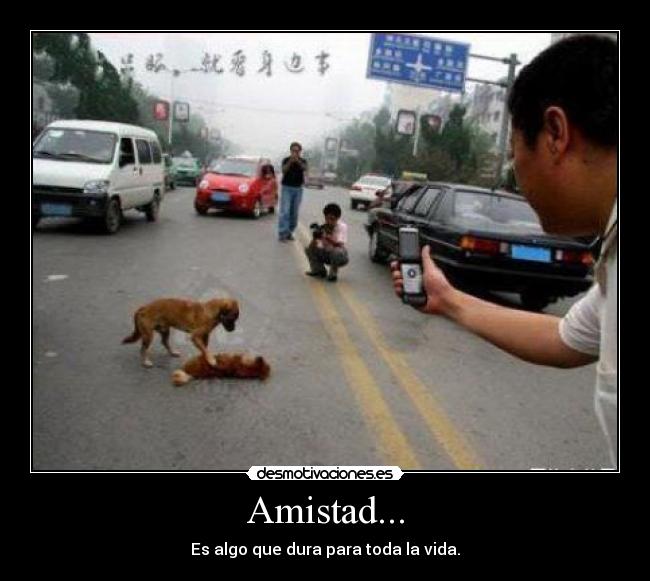Amistad... -