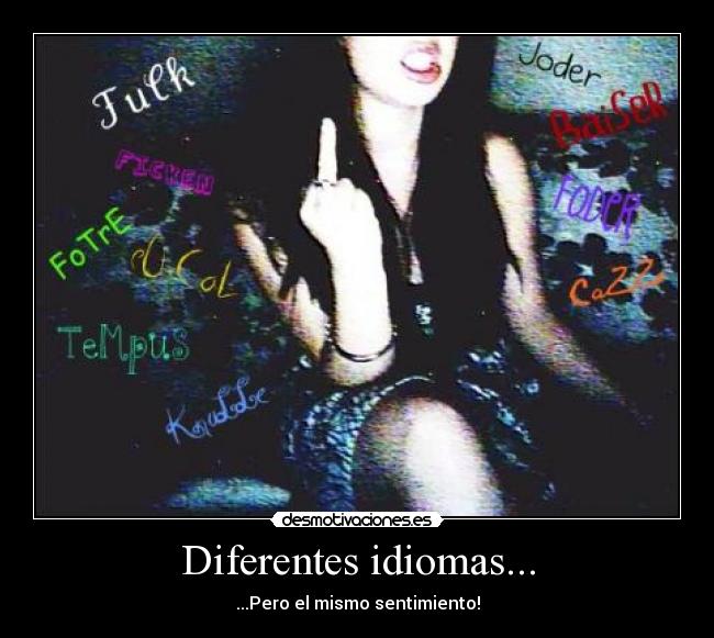 Diferentes idiomas... - ...Pero el mismo sentimiento!