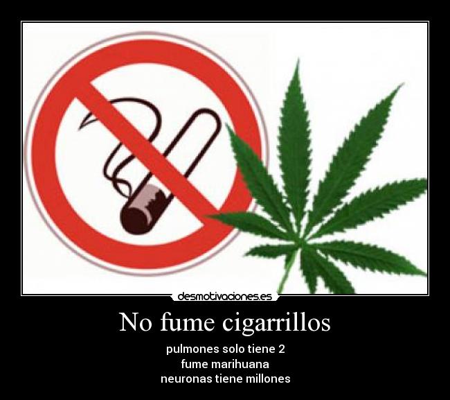 No fume cigarrillos -