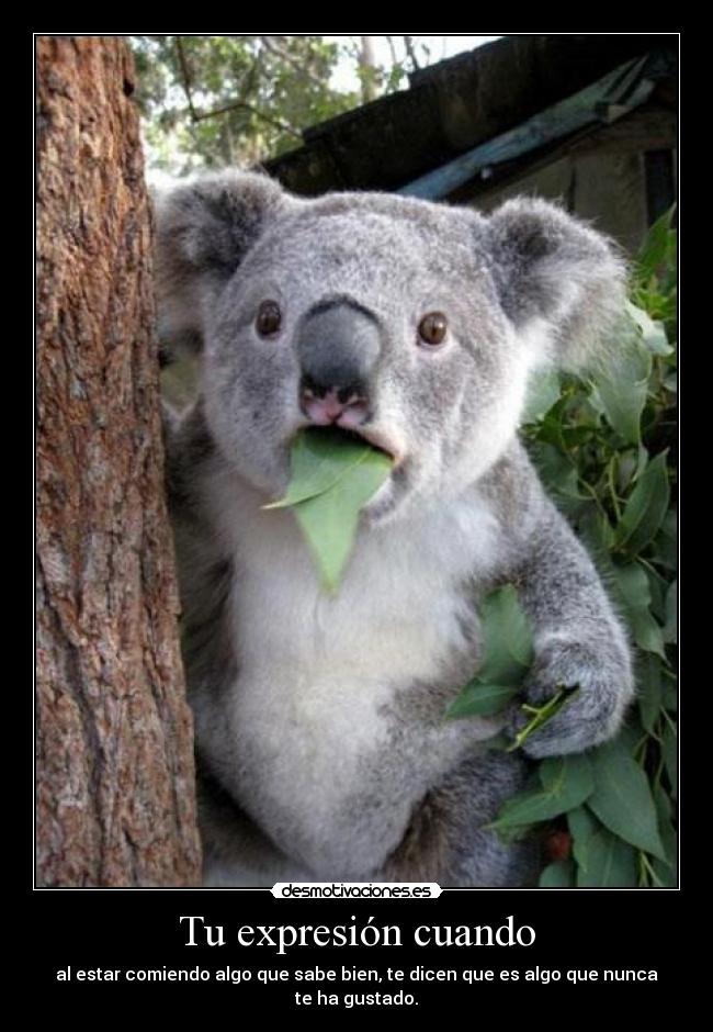 Tu expresión cuando -