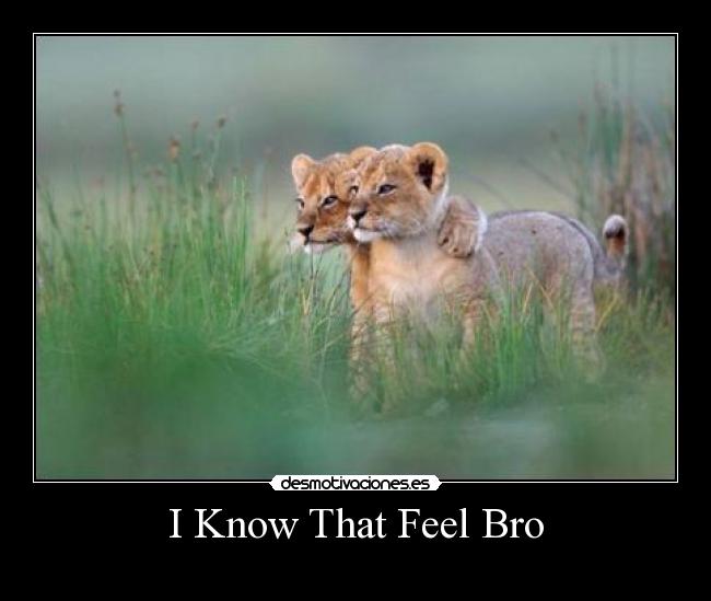 I Know That Feel Bro - 