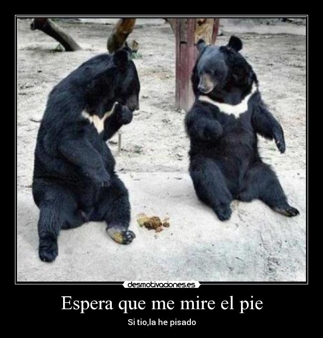 Espera que me mire el pie - Si tio,la he pisado