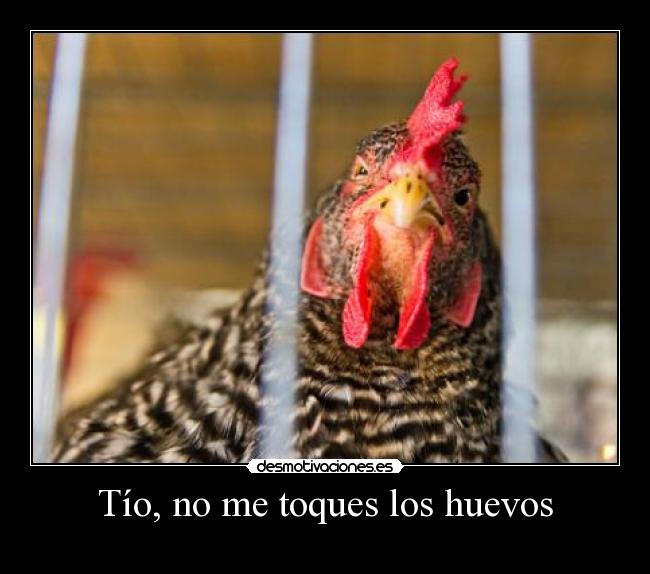 Tío, no me toques los huevos -