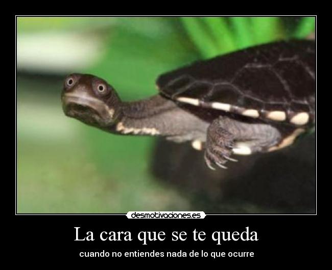 La cara que se te queda -