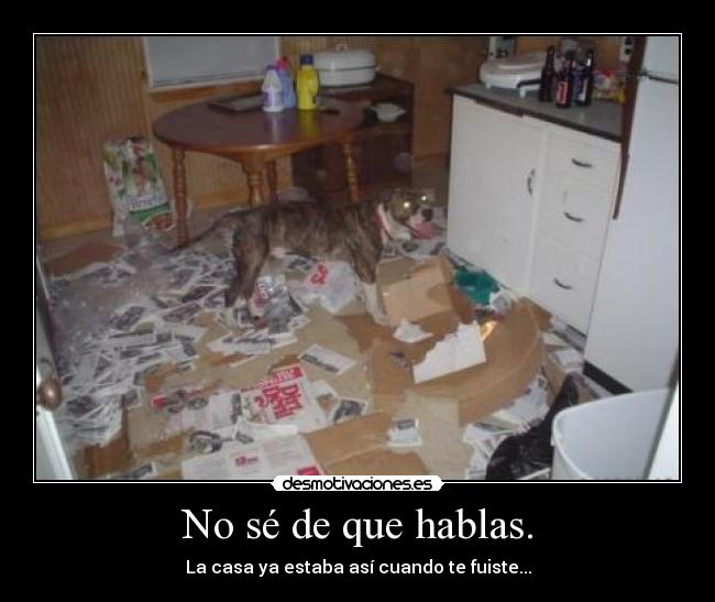 No sé de que hablas. - 