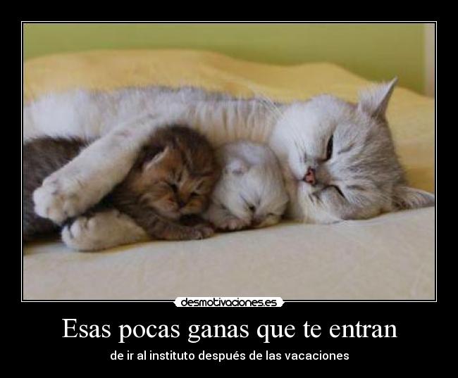 Esas pocas ganas que te entran - de ir al instituto después de las vacaciones
