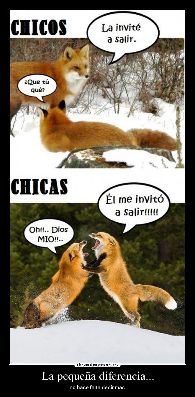 La pequeña diferencia... - 