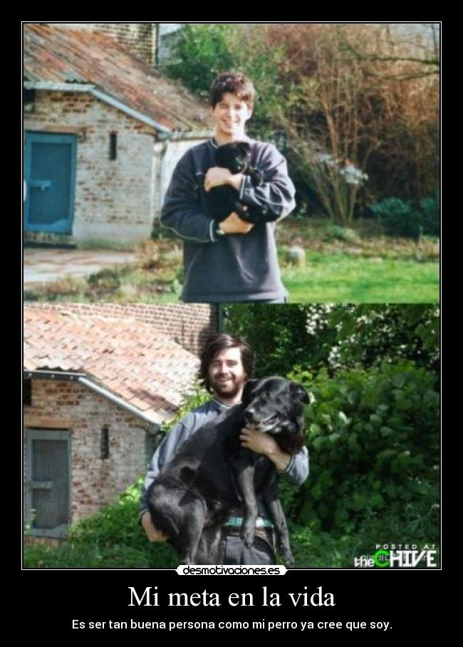 Mi meta en la vida - Es ser tan buena persona como mi perro ya cree que soy.