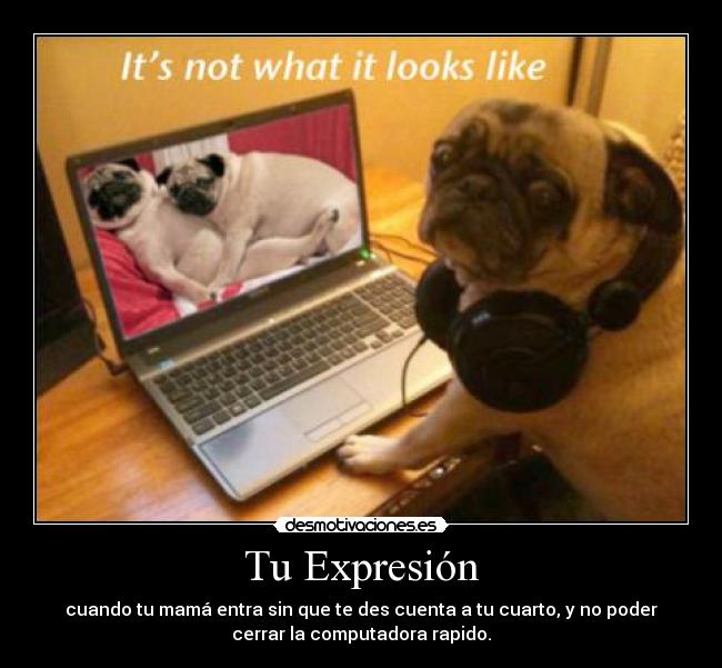 Tu Expresión - cuando tu mamá entra sin que te des cuenta a tu cuarto, y no poder
cerrar la computadora rapido.