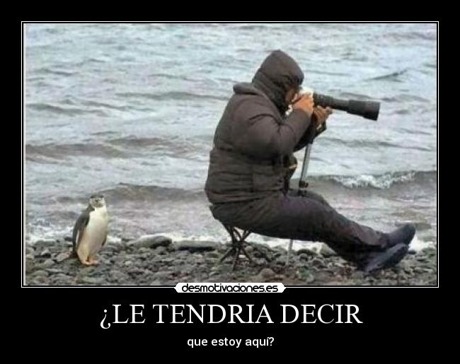 ¿LE TENDRIA DECIR - que estoy aquí?