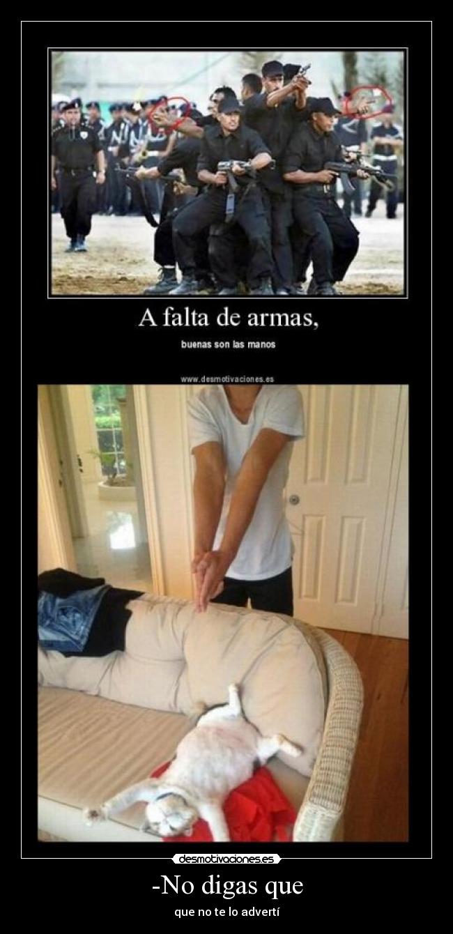 -No digas que - que no te lo advertí