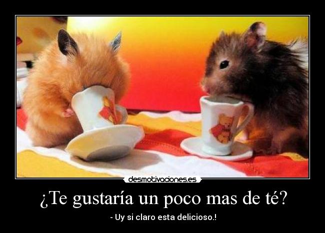 ¿Te gustaría un poco mas de té? -
