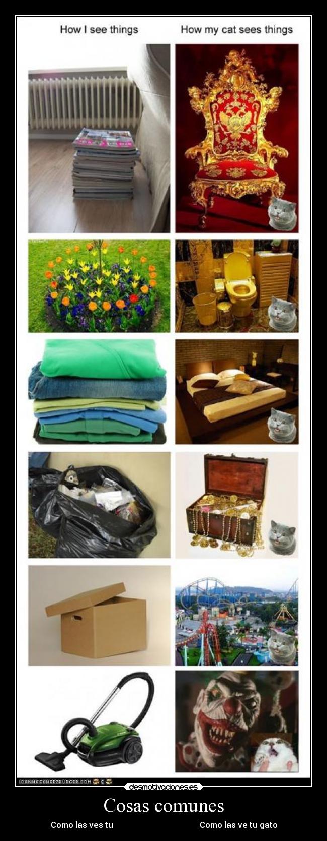 Cosas comunes - Como las ves tu                                           Como las ve tu gato