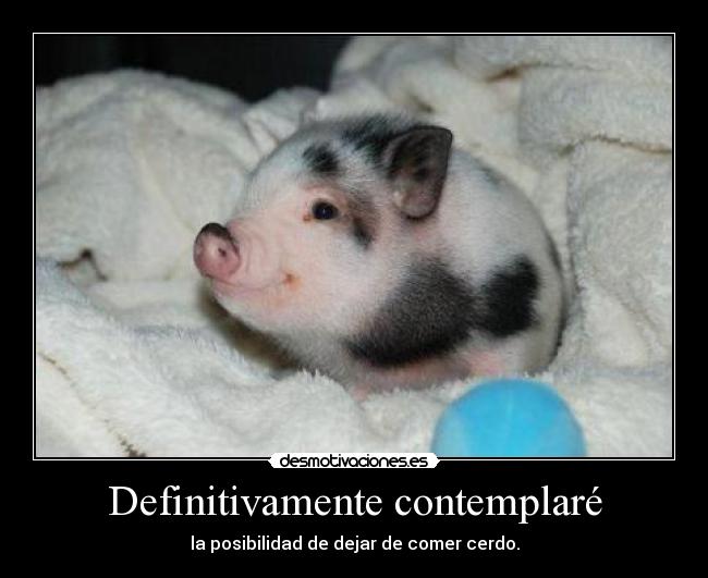 carteles dejar comer cerdo gibson2528 desmotivaciones
