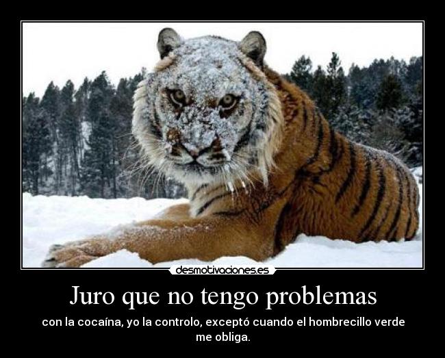 carteles problemas problemas cocaina hombrecillo verde gibson2528 desmotivaciones